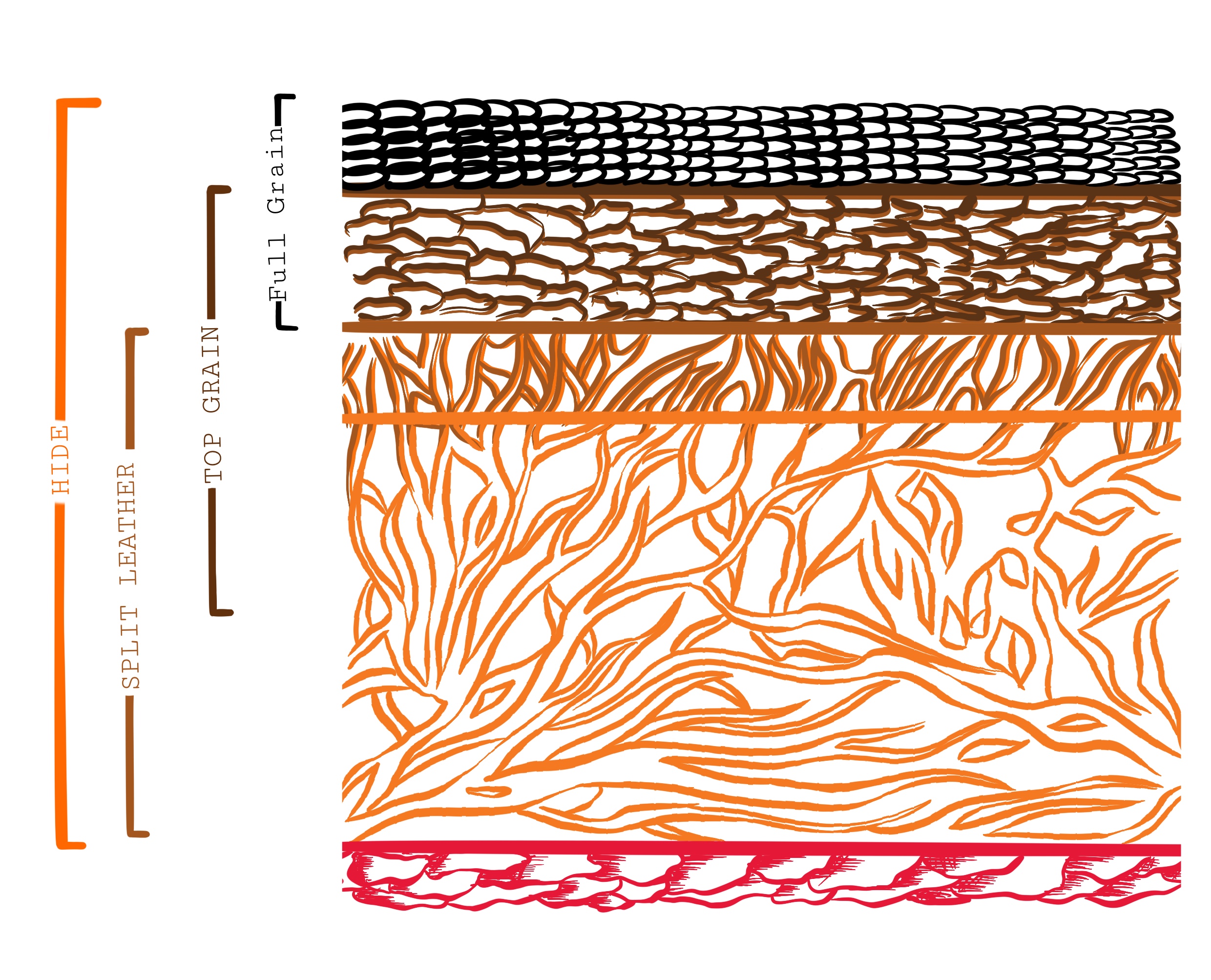 Full-grain vs Top Grain: Get To Know More About Leather